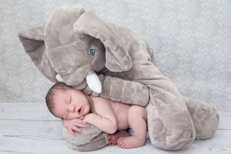 15 Essential Newborn Photography Poses [2024 Edition]